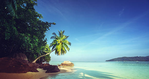 istock early morning, Seychelles beach 539225750