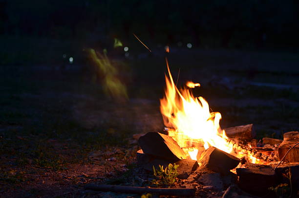 istock Fire at night at the yard in the black backgrund 539227034