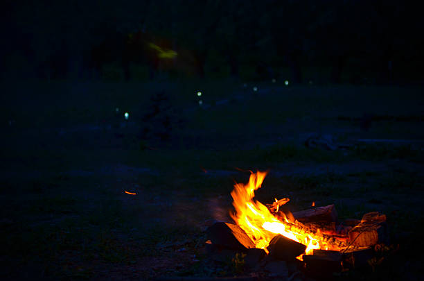 istock Fire at night at the yard in the black backgrund 539227278