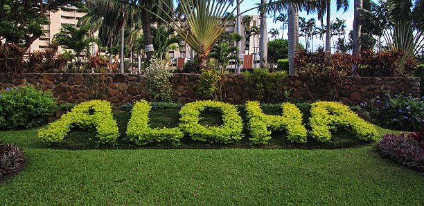 aloha - nagy sziget hawaii témájú stock jellegű vizuális alkotások, jogdíjmentes fotók és képek