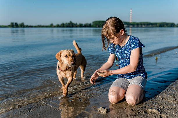istock Girl with dog playing on the beach 539228524