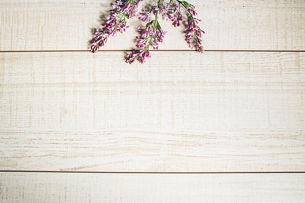 istock Beautiful background of lilac flowers. 539228548