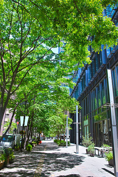 frisches grün des tokio geschäftsviertel - büropark stock-fotos und bilder