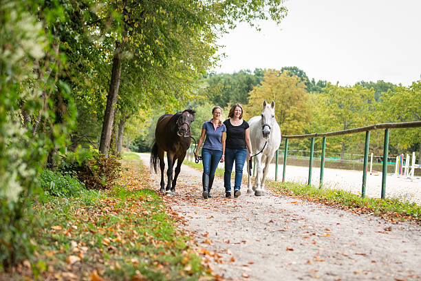 istock Friends With Their Horses 539230044