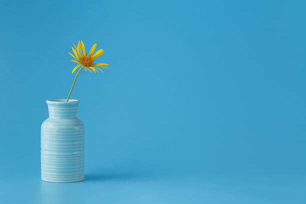 istock one yellow flower in vase 539230686