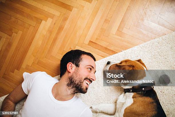 Best Friends Stock Photo - Download Image Now - Flooring, Dog, Lying Down