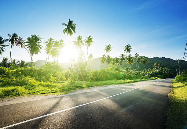 istock empty road in jungle of Seychelles islands 539233654