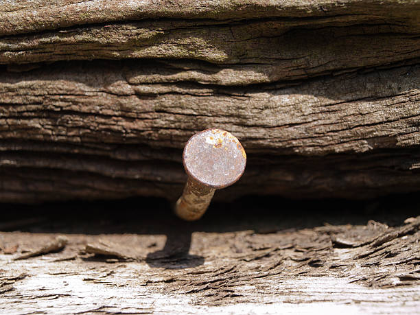 Wooden Background with a single rusty nail