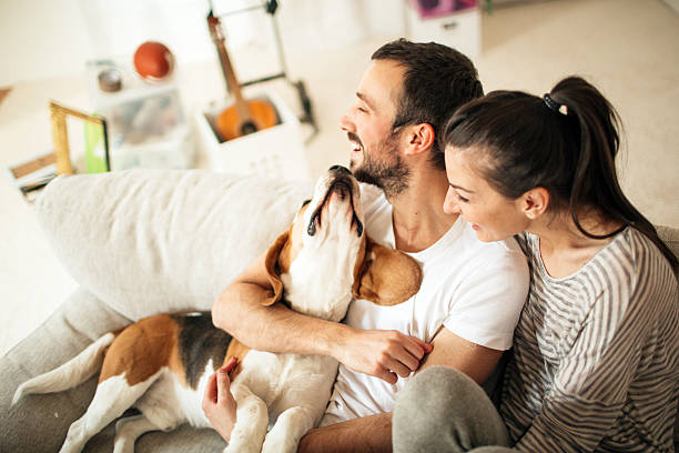 famiglia felice - cagnolino foto e immagini stock