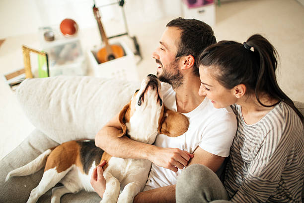 Happy family Happy family enjoying in their new apartment during the moving in process canine animal stock pictures, royalty-free photos & images