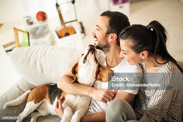 Happy Family Stock Photo - Download Image Now - Family, Dog, Happiness