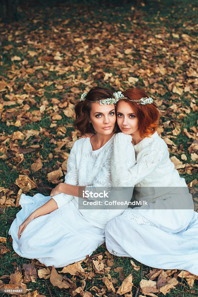 Three beautiful bride Three beautiful bride on a background of autumn forest 2015 Stock Photo