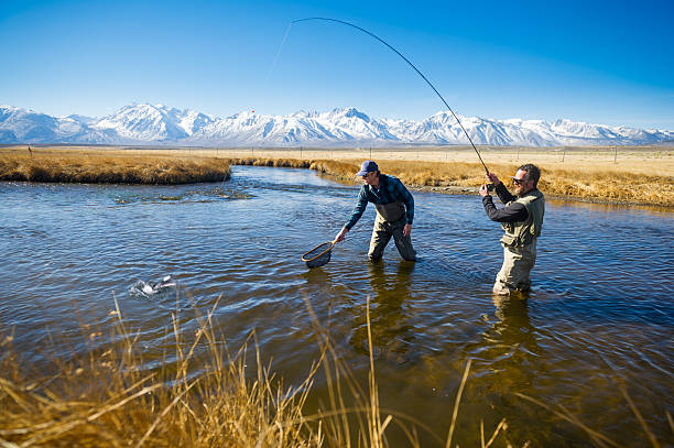 Fishing Buddies Two men in the river reeling in a fish.  http://blog.michaelsvoboda.com/FishingBanner.jpg owens river stock pictures, royalty-free photos & images