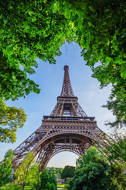 istock The Beautiful Eiffel Tower Framed by Leaves 539236051