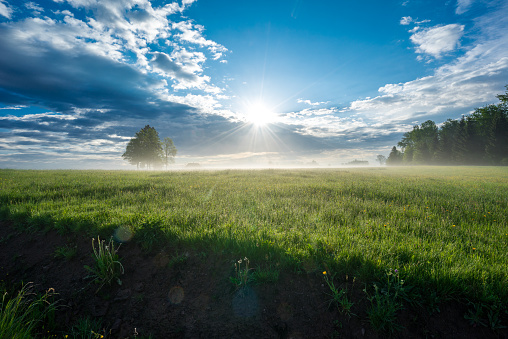 Sunrise in the Black Forest over a meadow with light ground fog.