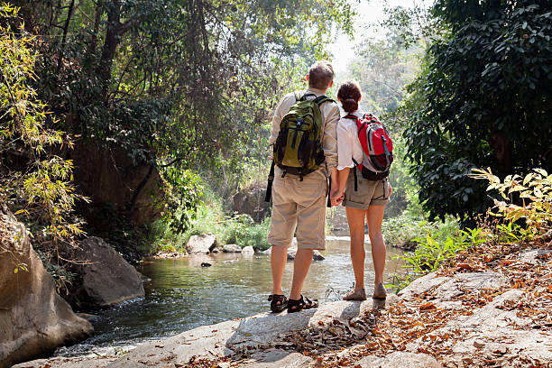 istock Couple with backpack hiking in rainforest 539236517