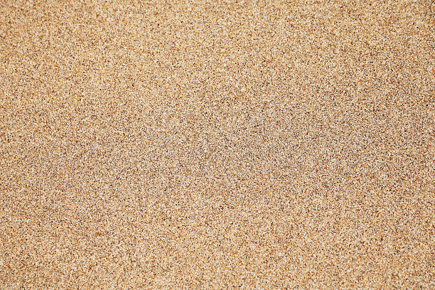 istock Natural sea sand background. 539237550