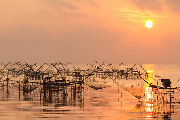 Fishing nets in the lake Fishing nets in the lake in Southern part of Thailand in gold warm morning light phatthalung province stock pictures, royalty-free photos & images