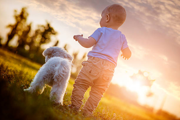 istock Child and puppy 539239604