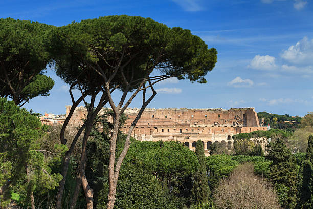 istock Coliseum as seen from the Palatine hill 539242472