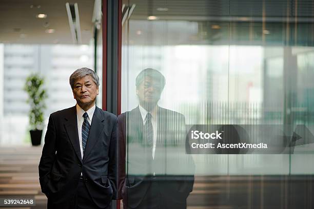 Senior Asian Business Executive Stock Photo - Download Image Now - CEO, Business Person, Japanese Ethnicity