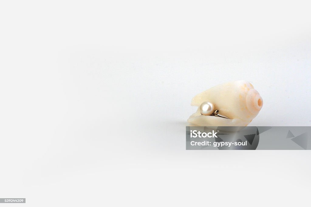 Hidden Pearl Pearl ring inside the white shell on white back ground. Animal Shell Stock Photo