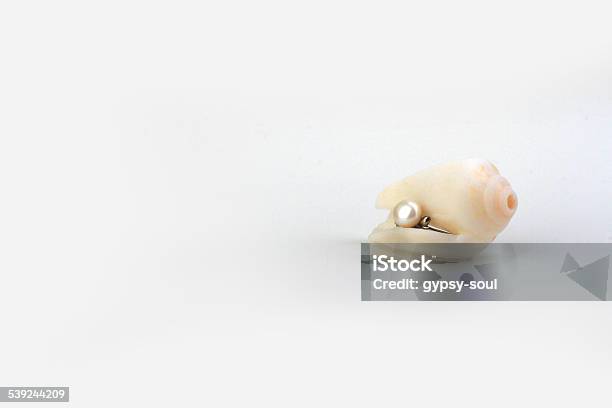 Hidden Pearl Stock Photo - Download Image Now - Animal Shell, Camouflage, Curiosity