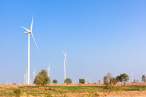 istock Wind turbine farm 539244958