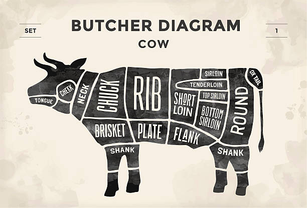 ilustraciones, imágenes clip art, dibujos animados e iconos de stock de póster diagrama de carnicero vaca y esquema - butcher meat butchers shop steak