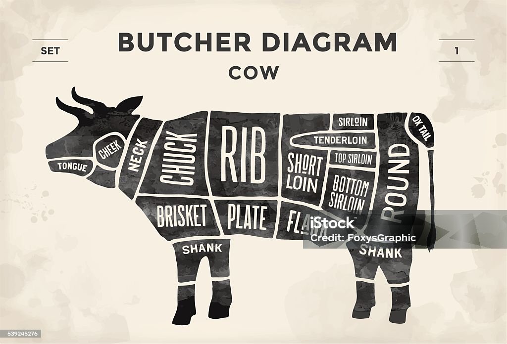 Diagramme affiche de boucher vache et programme - clipart vectoriel de Viande de boeuf libre de droits