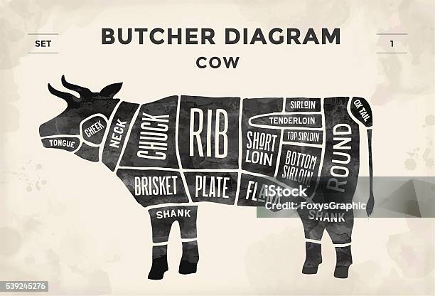 Diagramme Affiche De Boucher Vache Et Programme Vecteurs libres de droits et plus d'images vectorielles de Viande de boeuf - Viande de boeuf, Couper, Vache