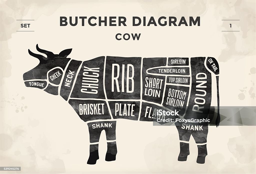Poster Butcher diagram and scheme - Cow Cut of meat set. Poster Butcher diagram and scheme - Cow. Vintage typographic hand-drawn. Vector illustration Beef stock vector