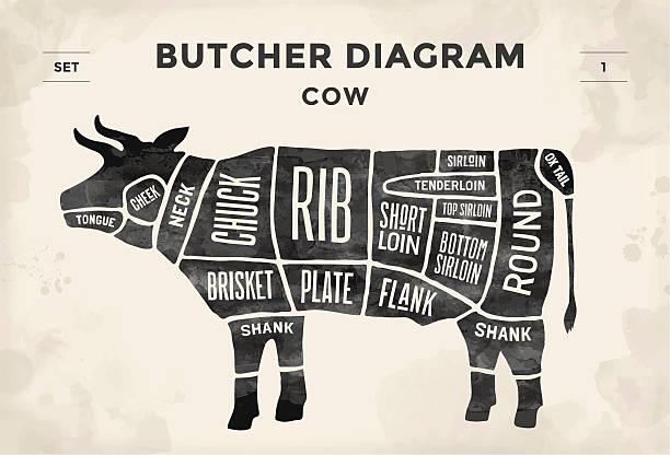 Poster Butcher diagram and scheme - Cow Cut of meat set. Poster Butcher diagram and scheme - Cow. Vintage typographic hand-drawn. Vector illustration meat stock illustrations
