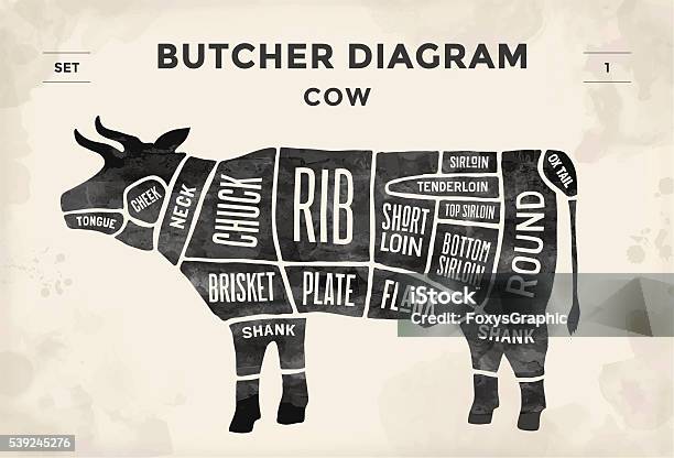 Poster Butcher Diagram And Scheme Cow Stock Illustration - Download Image Now - Beef, Cutting, Cow