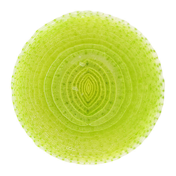 Leek on yellow background from above
