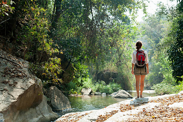 Woman with backpack trekking in rainforest