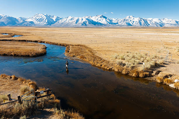 istock Mountain Fly Fisherman 539245465