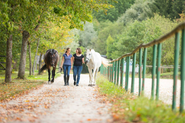 istock Friends With Their Horses 539245550