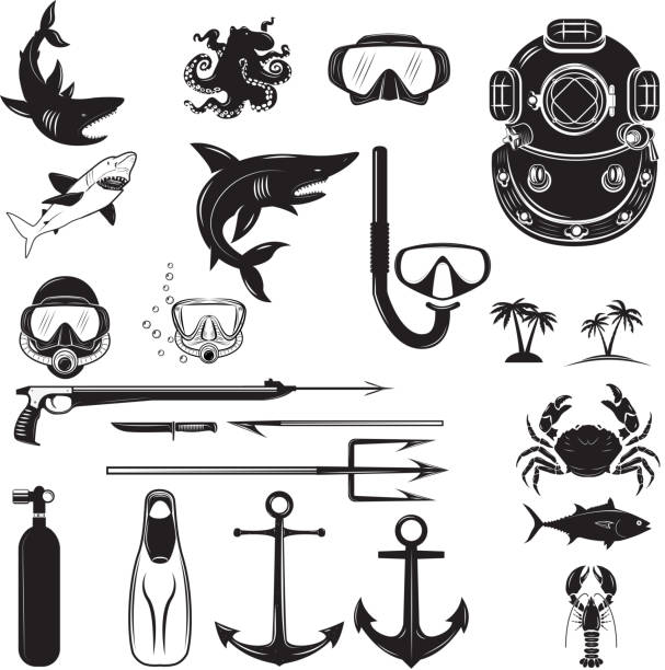 1,300+ Fishing Spear Gun Stock Illustrations, Royalty-Free Vector