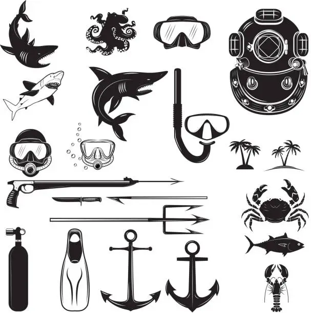 Vector illustration of Diver design elements. Diver weapon, diver helmet, equipment