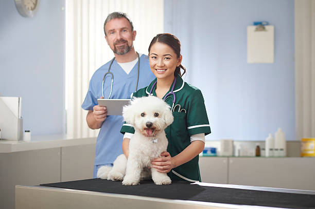 istock vet nurse and vet 539245933