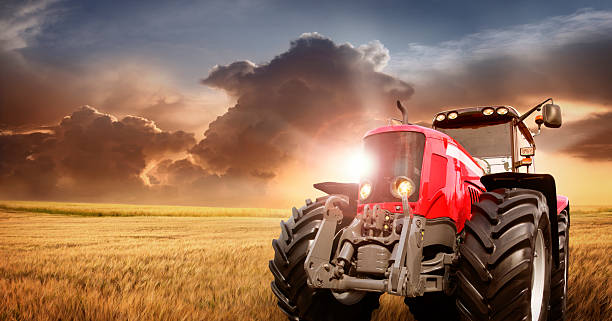 istock Tractor on the barley field by sunset 539246425