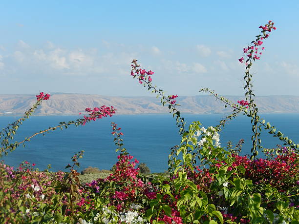 istock SEA OF GALILEE, ISRAEL 539246444