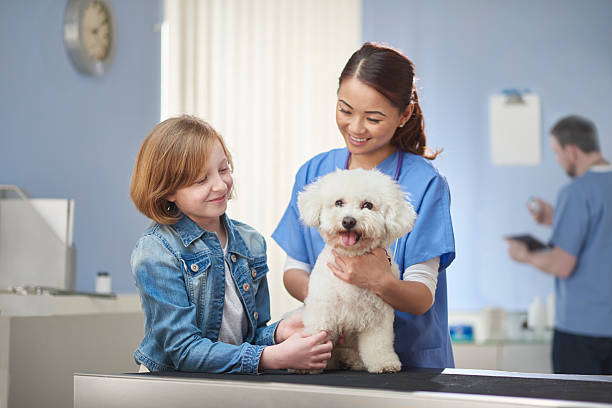 동물 병원 - doctor pets portrait animal hospital 뉴스 사진 이미지
