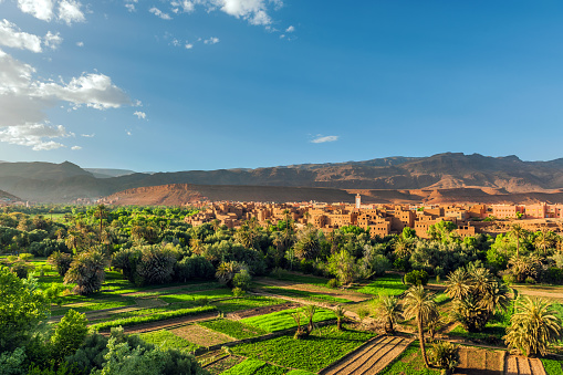 Tinghir.Gardens, palm trees, the city, the hills,,Morocco North Africa Nikon D3x