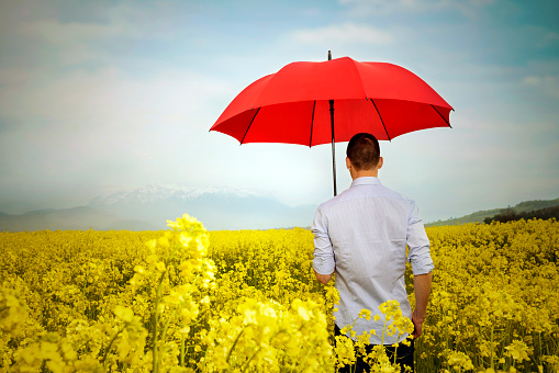 rear view of man with umbrella on flower field.