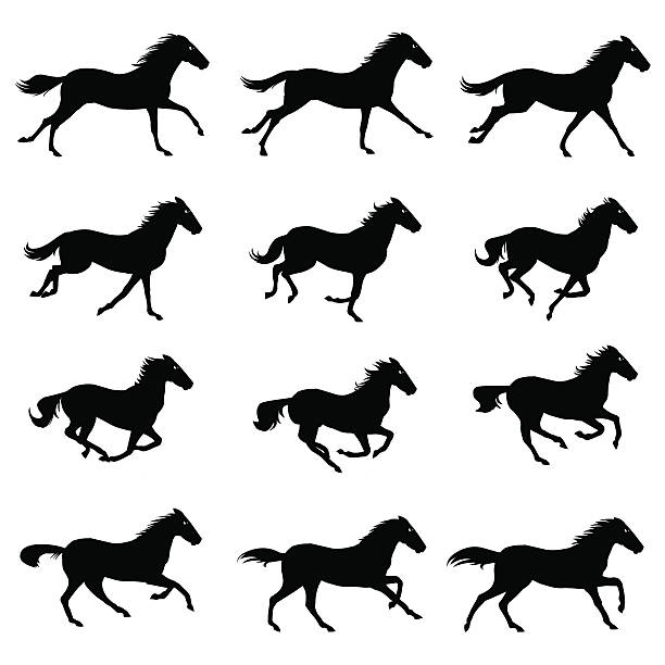 ilustrações, clipart, desenhos animados e ícones de bicicleta de corrida de cavalos - running horses
