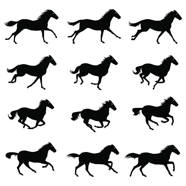 Vector illustration of Horse Run Cycle