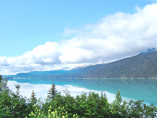 istock Kenai Fjords National Park 539258693