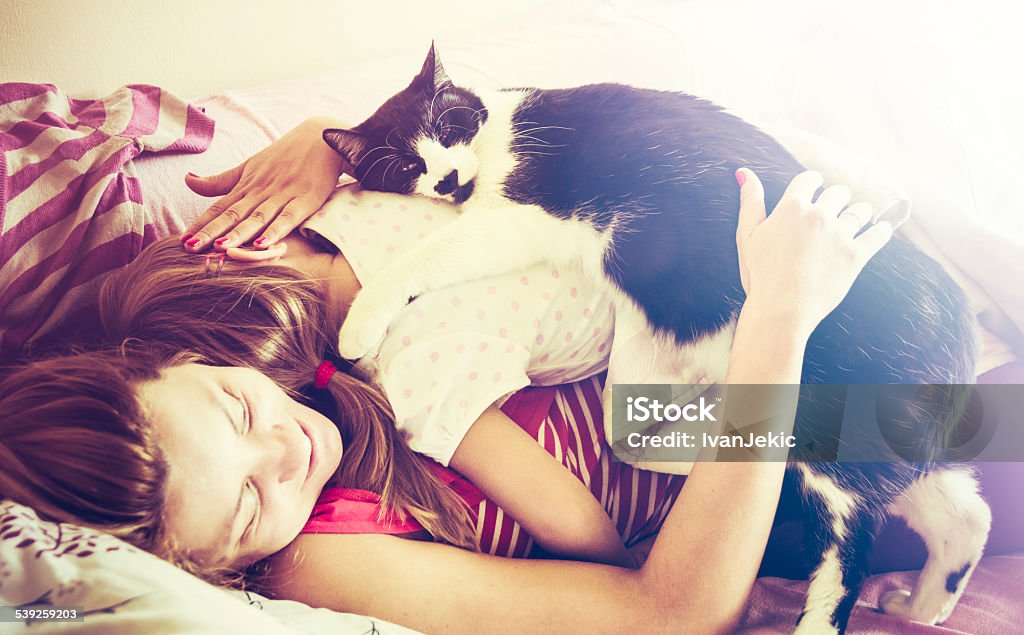 Family napping with loving cat Mother and daughter are napping together on the sofa while their cat raised himself up on the paws and hugged them all. Real scene, candid shot. Toned image, format approx. 16:9, AdobeRGB profile. Domestic Cat Stock Photo